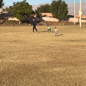 Meet your Posher, Allie